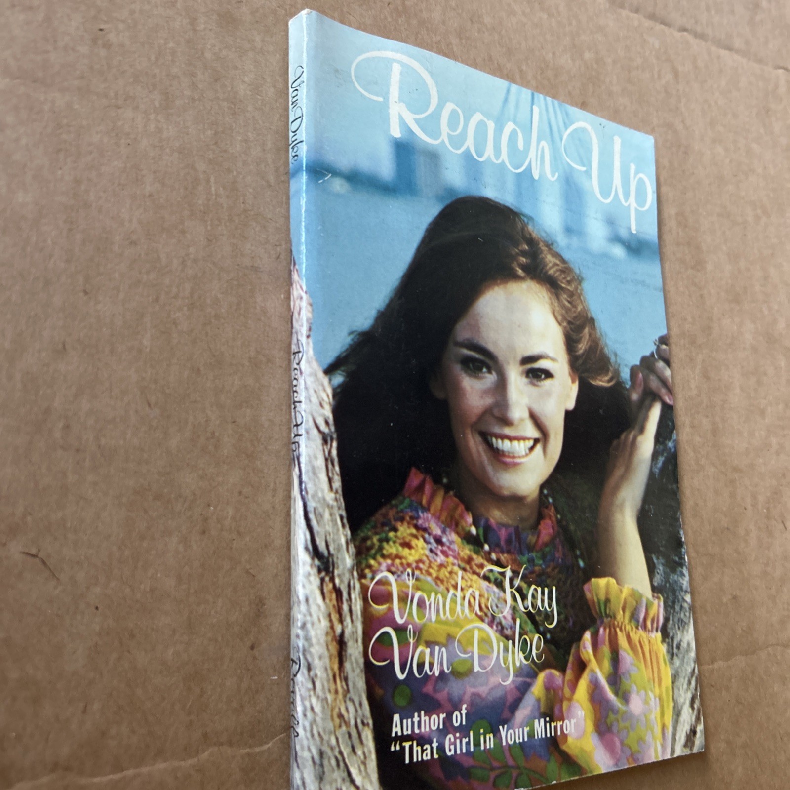 Reach Up By Vonda Kay Van Dyke Author Of “That Girl In Your Mirror”