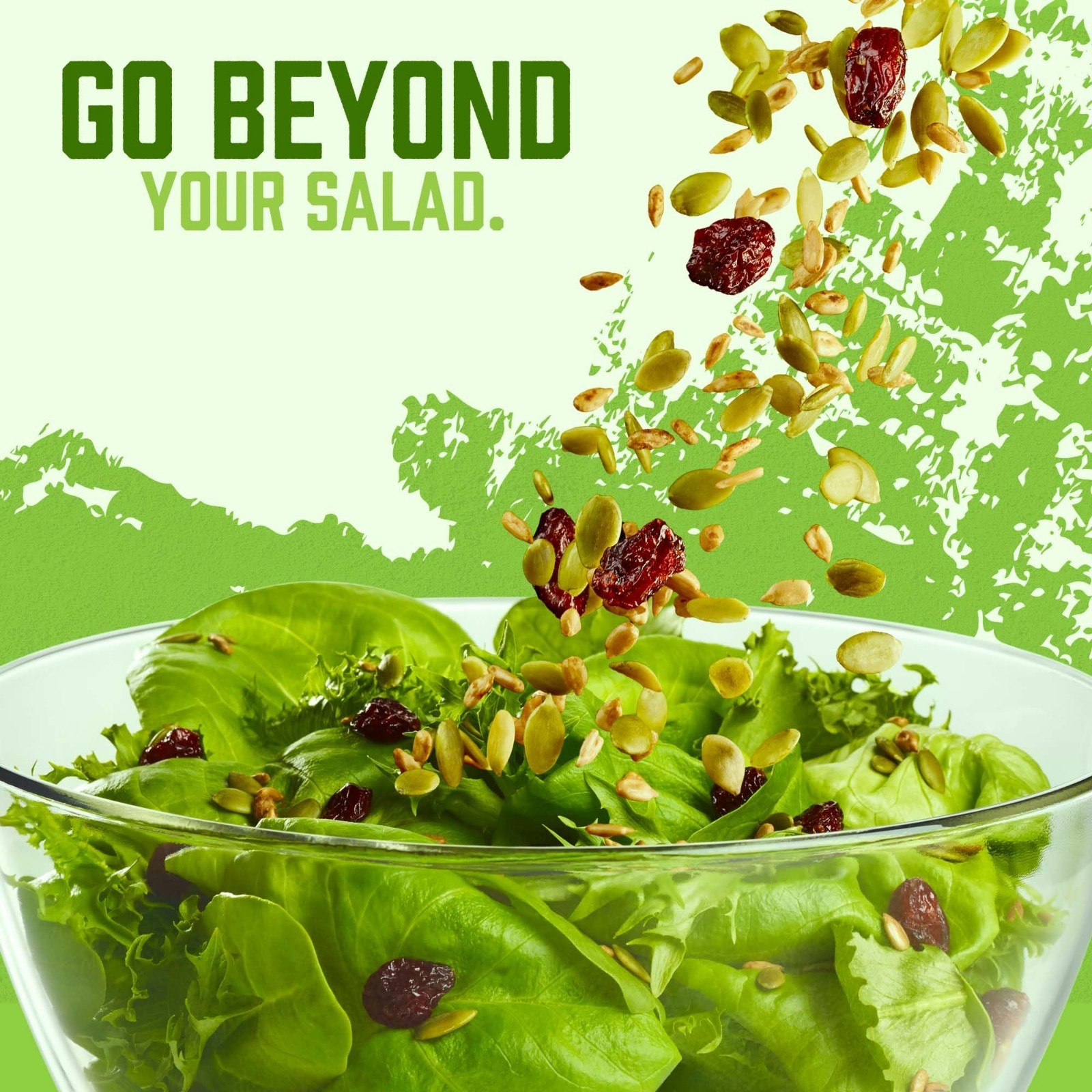 Crunchy Salad Toppers Mix with Seeds & Cranberries – Gluten Free, 16 Oz (Pack of