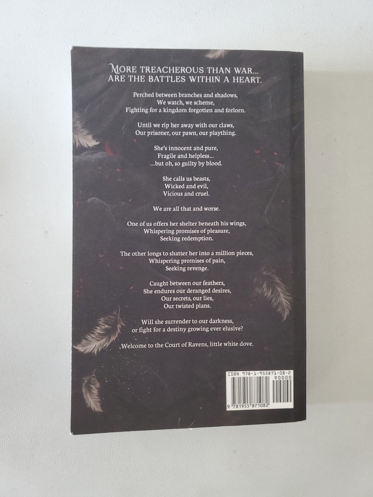 Feathers so Vicious: A Dark Fantasy – Paperback, by Zander Liv