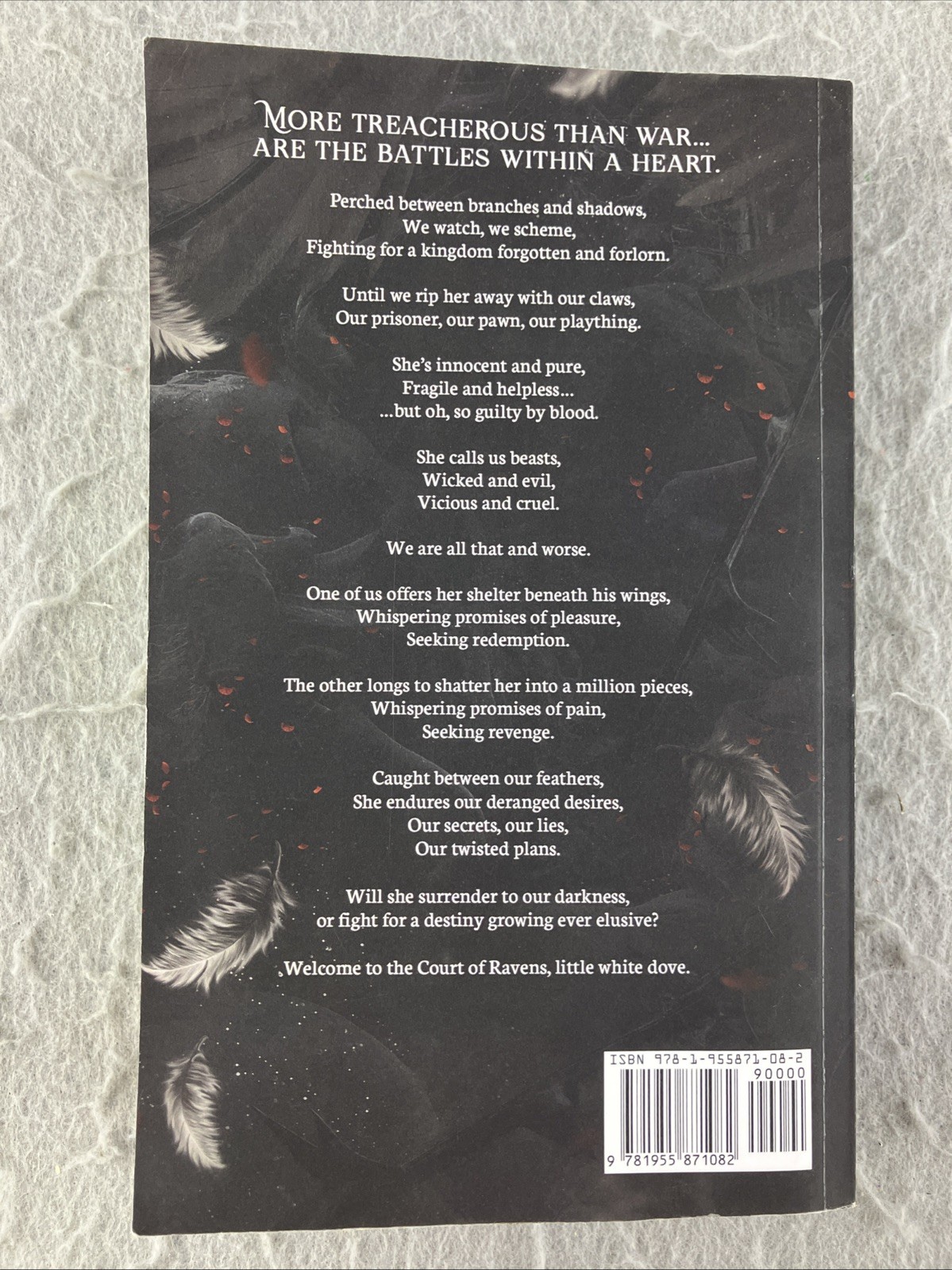 Feathers So Vicious: A Dark Fantasy Romance by Liv Zander Sprayed Pages