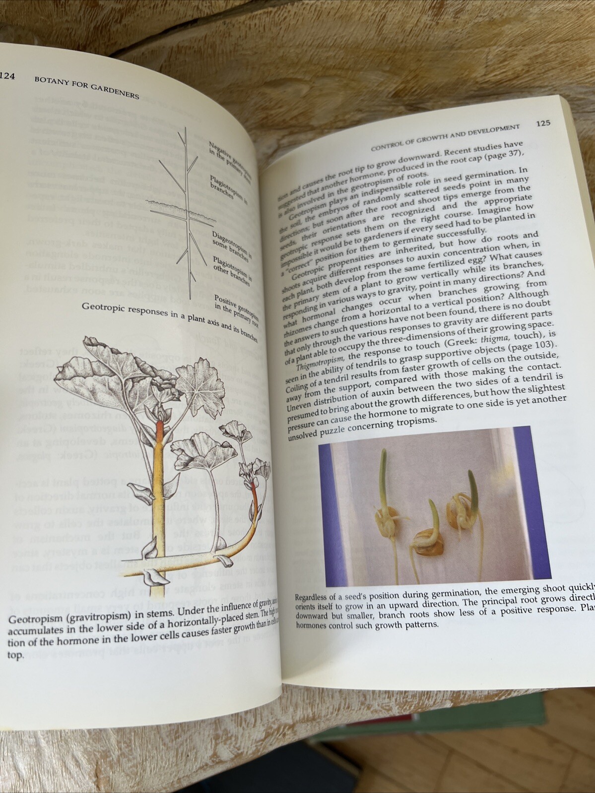 Botany for Gardeners An Introduction to the Science of Plants PB/1993 /2nd Print