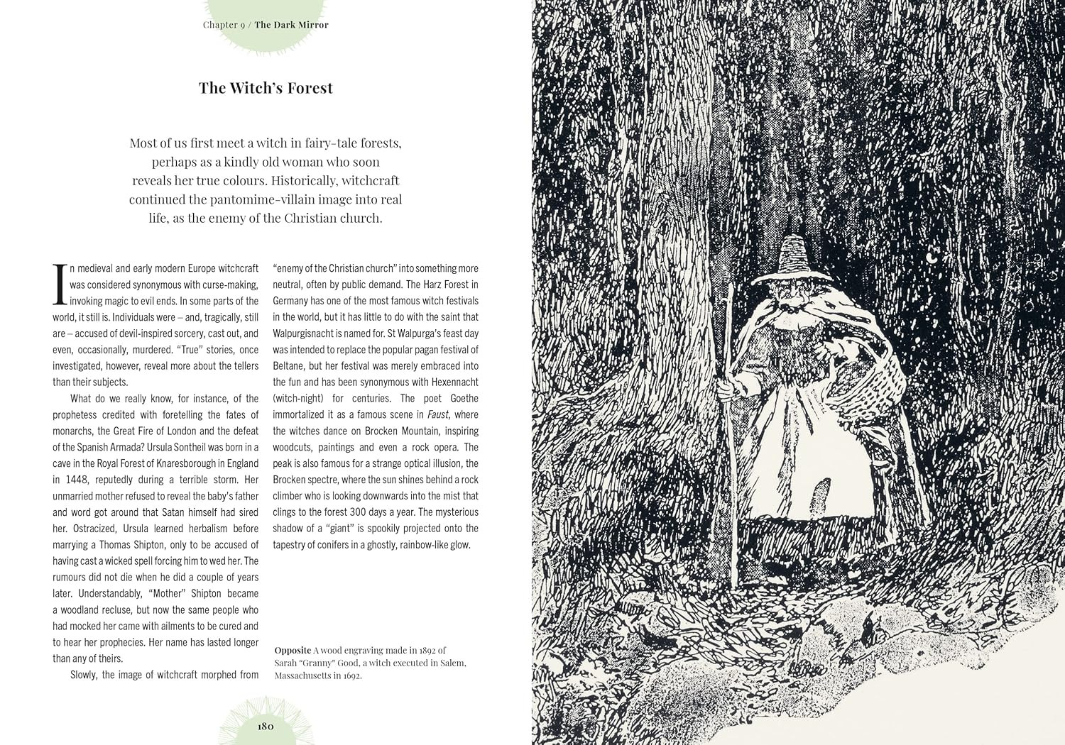 Witch’s Forest: Trees in magic, folklore and traditional remedies (Royal Botanic