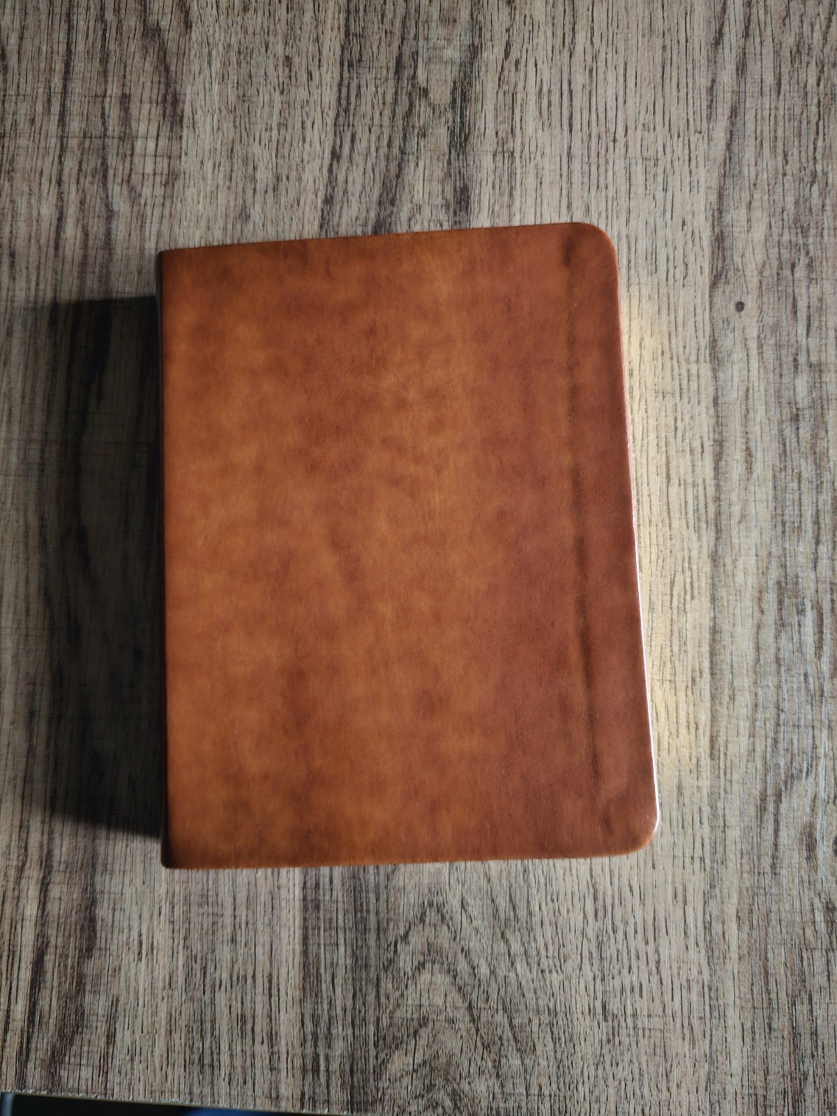 Daily Light Devotional by Anne Graham Lotz: Brand New Tan Color