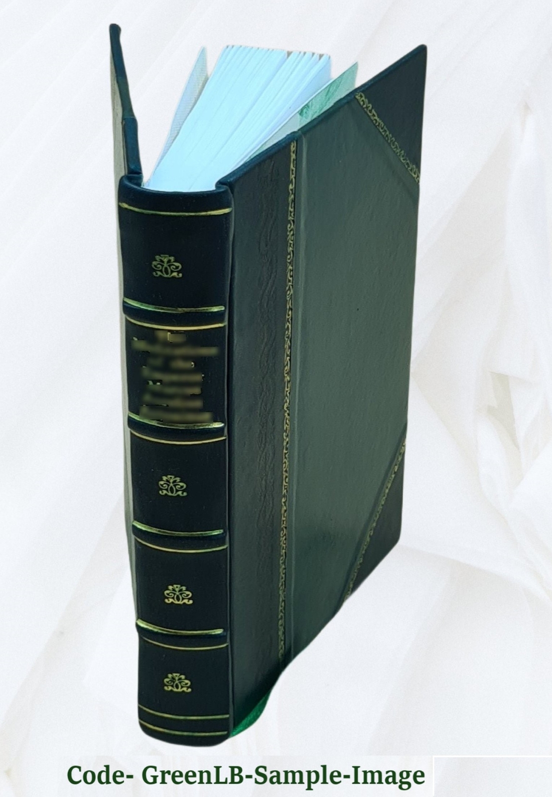 Buddhism Primitive And Present In Magadha And Ceylon 1908 [Leather Bound]