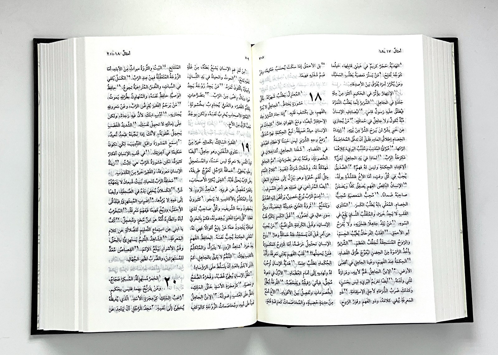 Arabic Bible, New Van Dyck, Compact Black Hardcover, Classical Version