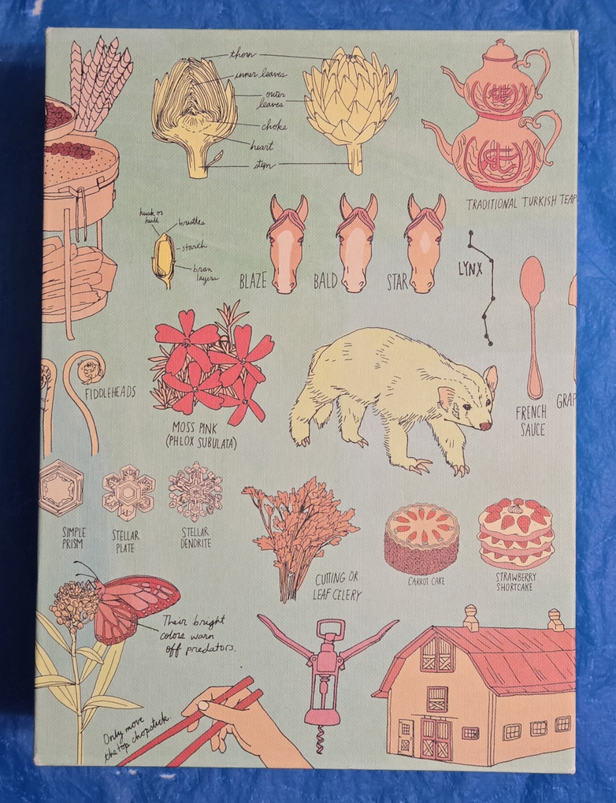 The Julia Rothman Collection: Farm Anatomy, Nature Anatomy, and Food Anatomy VG