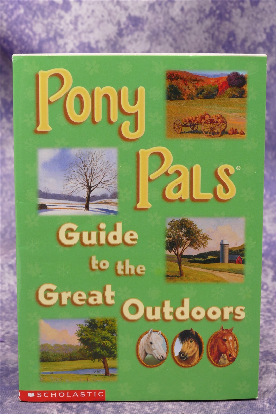 Pony Pals Guide to the Great Outdoors, Scholastic Paperback 1999 76 pages