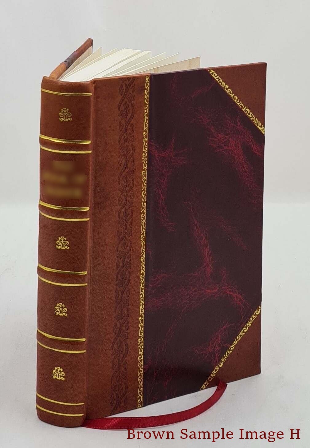 Buddhism Primitive And Present In Magadha And Ceylon 1908 [Leather Bound]