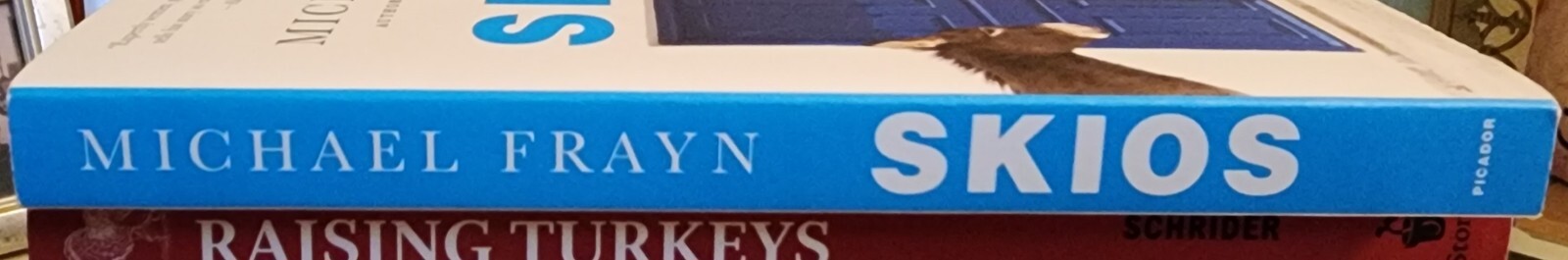 Skios : A Novel by Michael Frayn (2013, Trade Paperback)