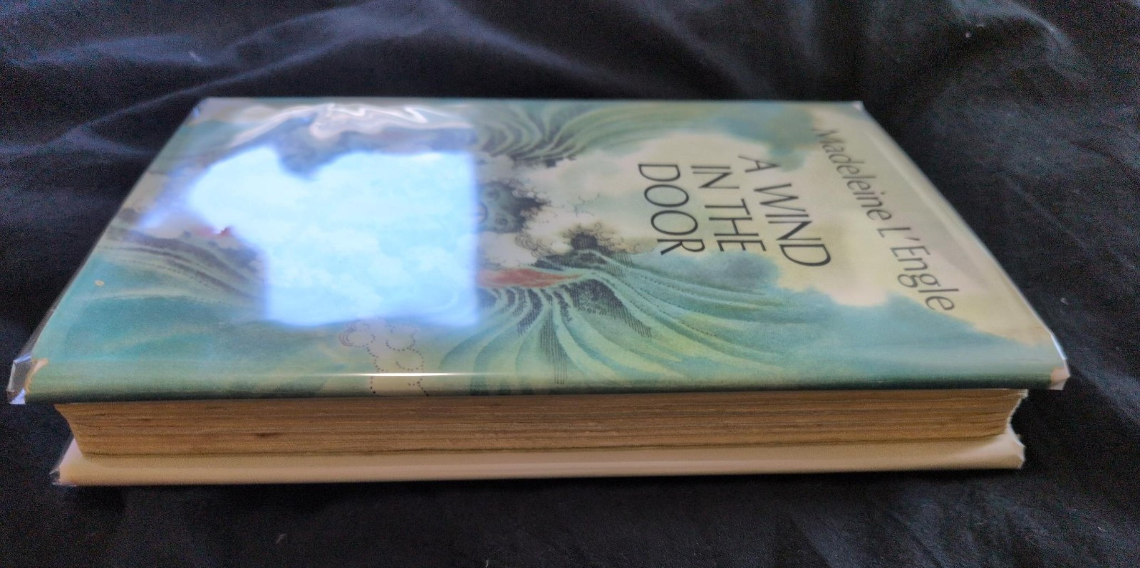 A Wind In The Door Madeleine L’engle First Edition First Printing