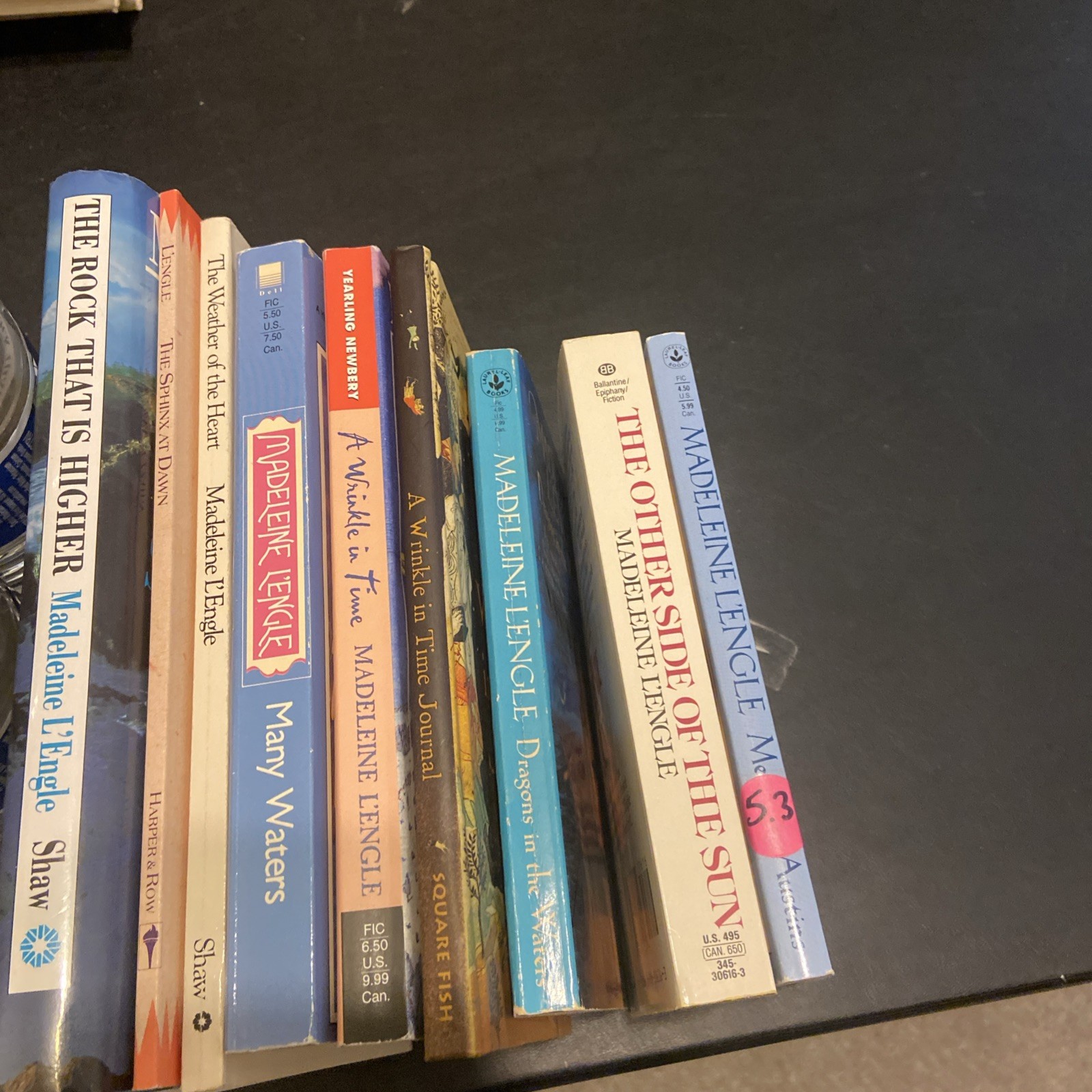 Madeleine L’Engle Fiction Lot Of 9 HCs & PBs Includes Journal G-VG Condition