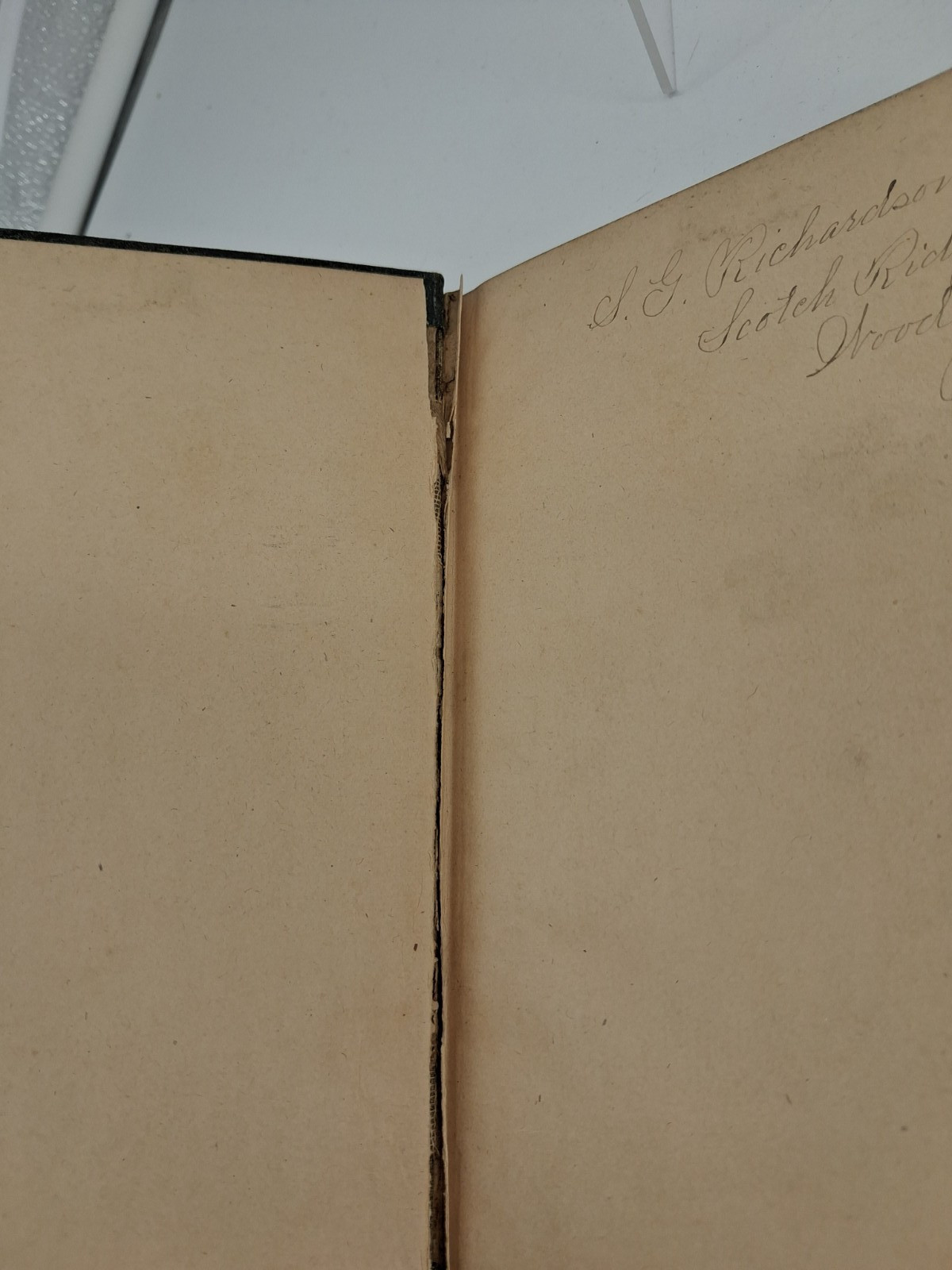 1882 The Stepping-Stone to Homeopathy and Health E.H. Ruddock