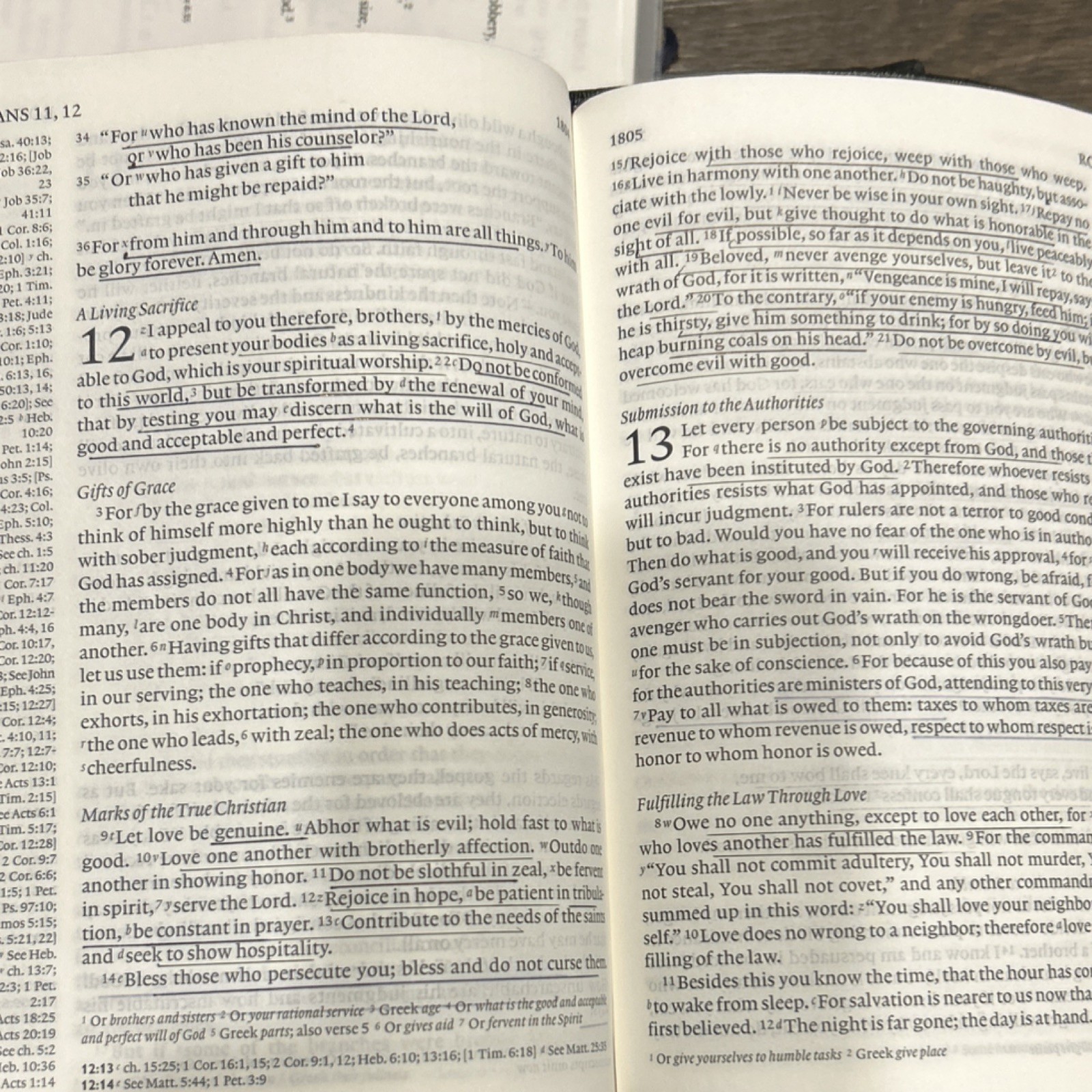 Cambridge Holy Bible English Standard Version Leather Bound Religious Bible
