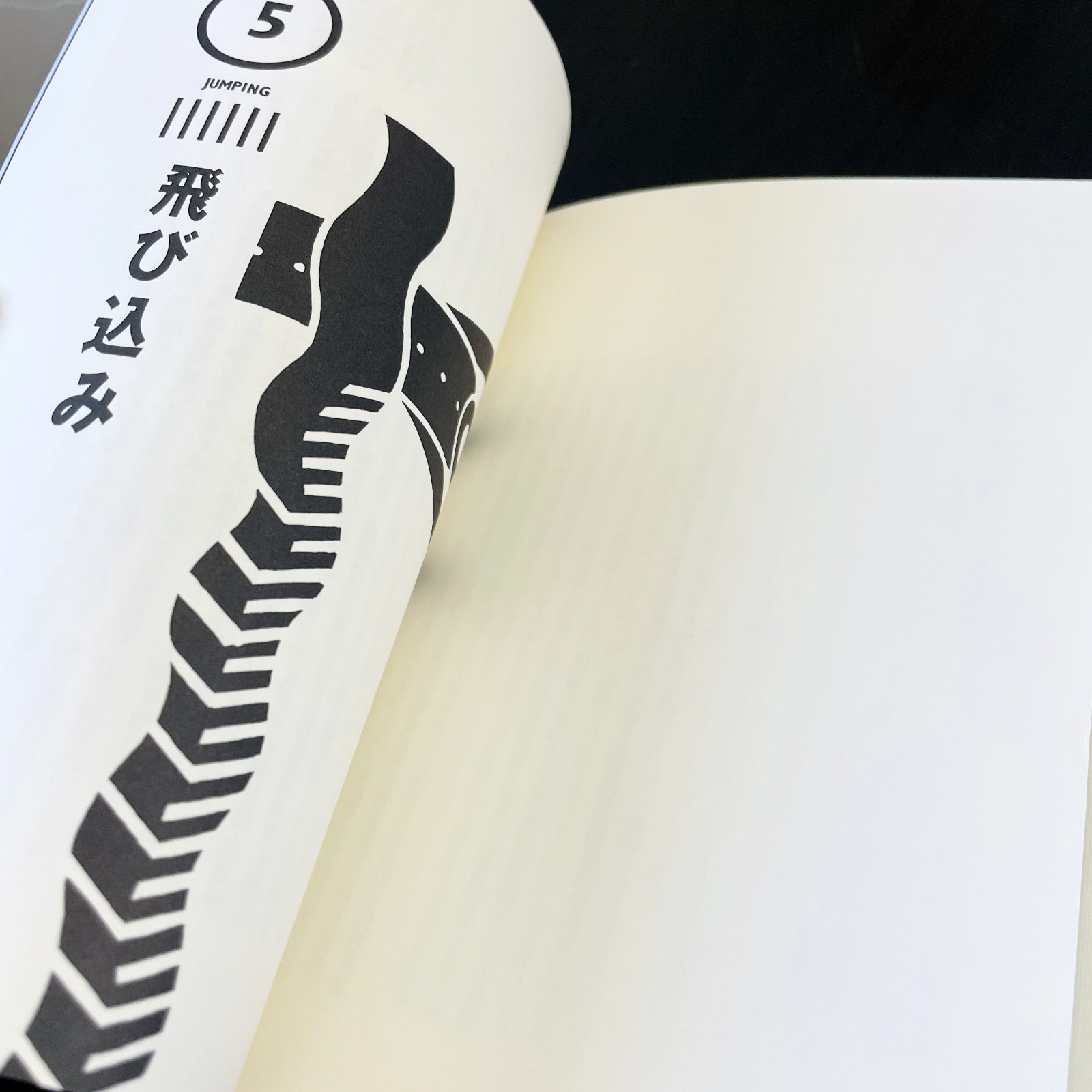 The Complete Manual Of Suicide Japanese Practical Book Kanzen Jisatsu Manual