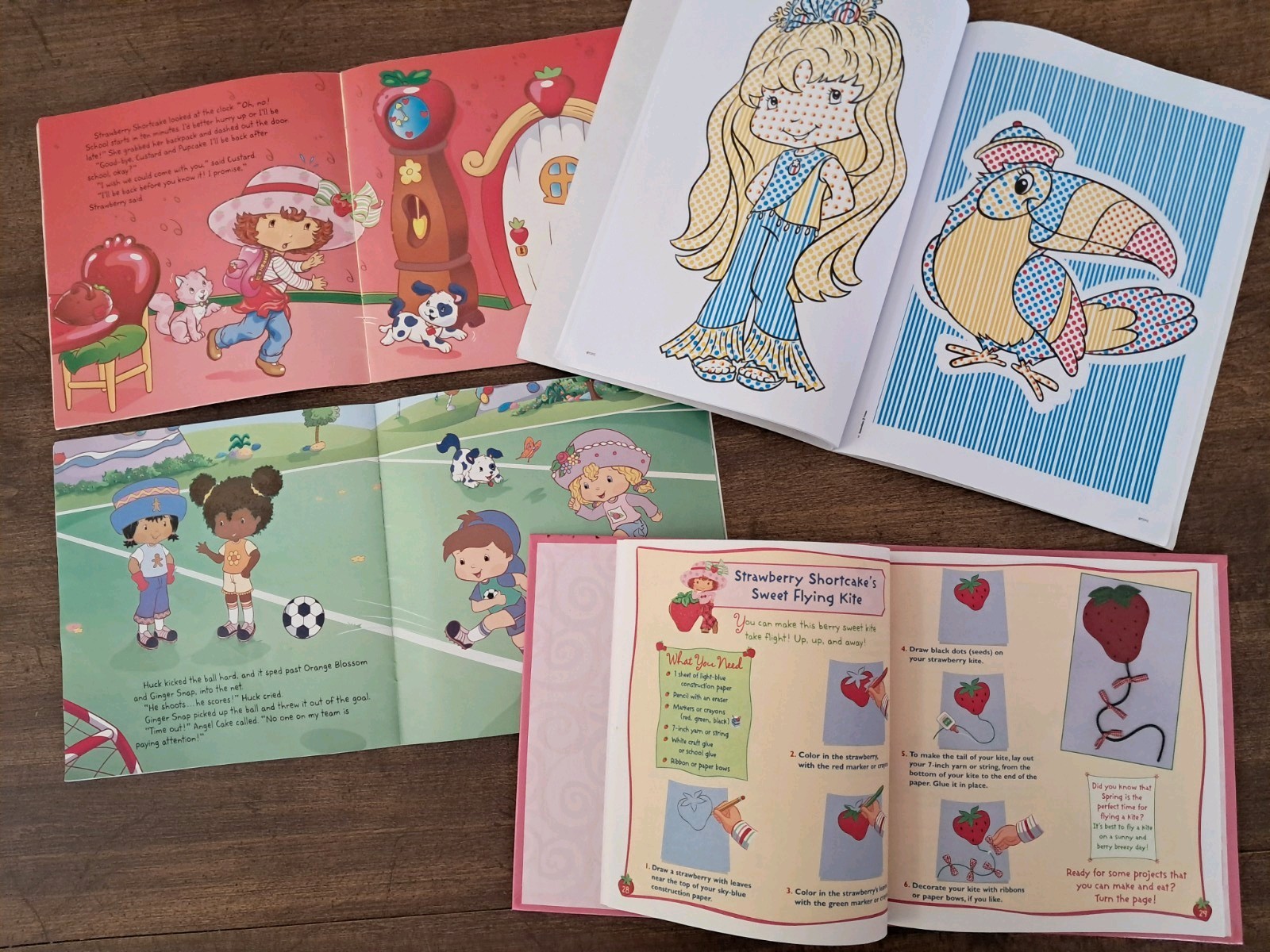 Early 2000s Strawberry Shortcake Book Lot