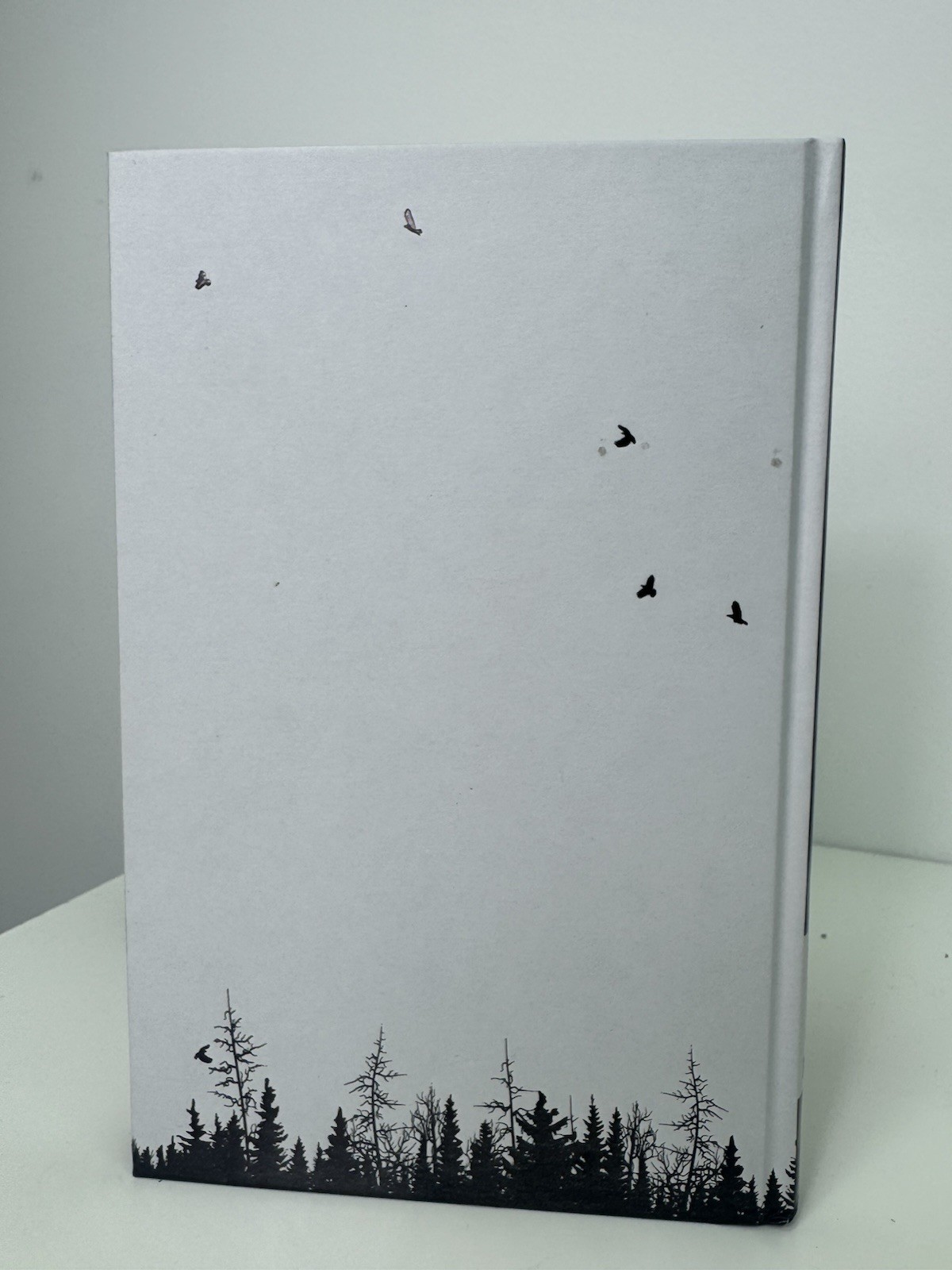 The Witcher The Last Wish by Andrzej Sapkowski 2020 Illumicrate HB