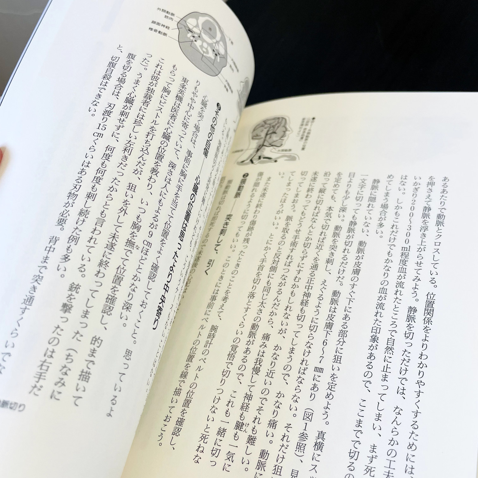 The Complete Manual Of Suicide Japanese Practical Book Kanzen Jisatsu Manual