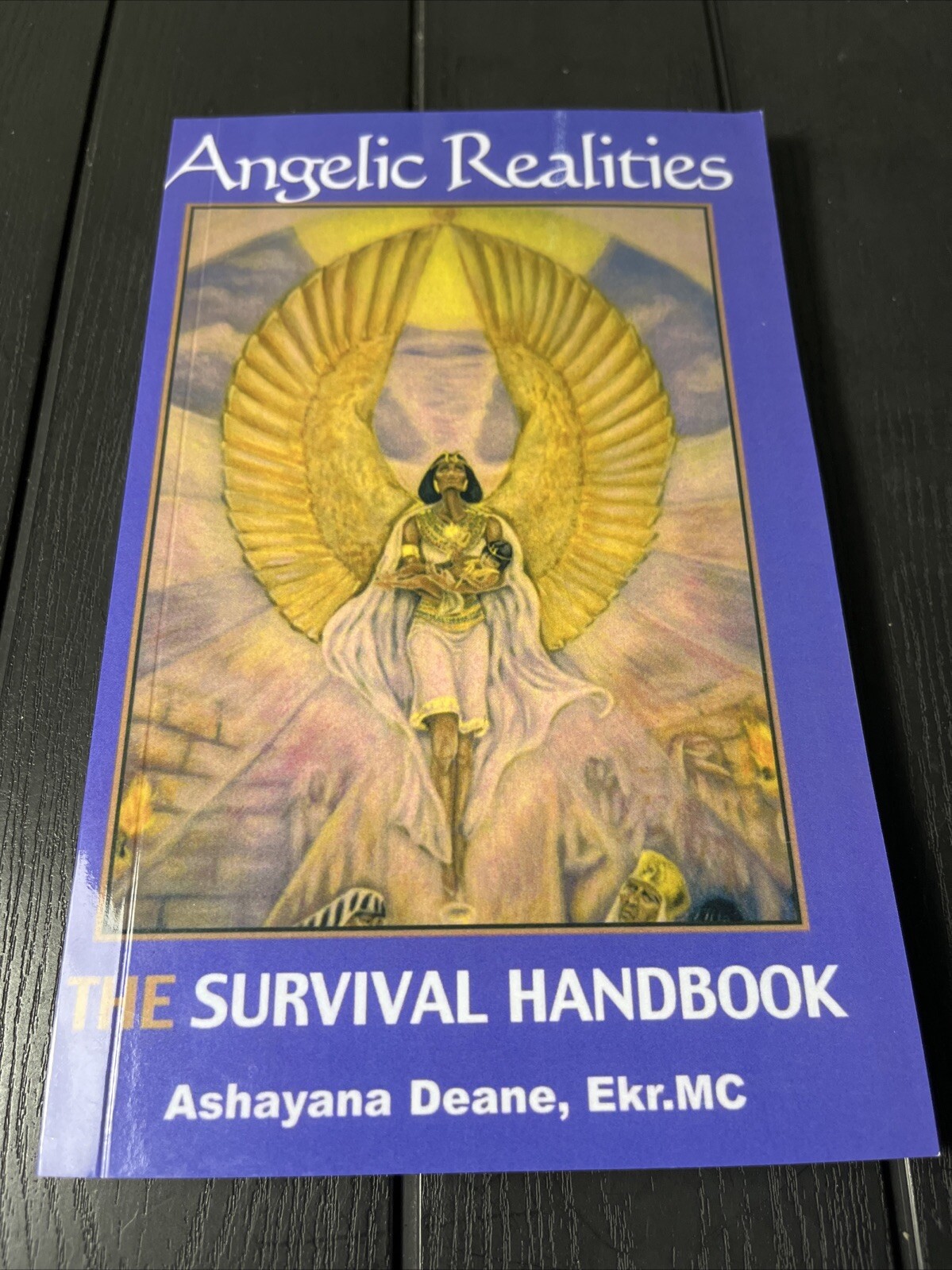 Angelic Realities The Survival Handbook By Ashayana Deane Ekr MC New Reprint