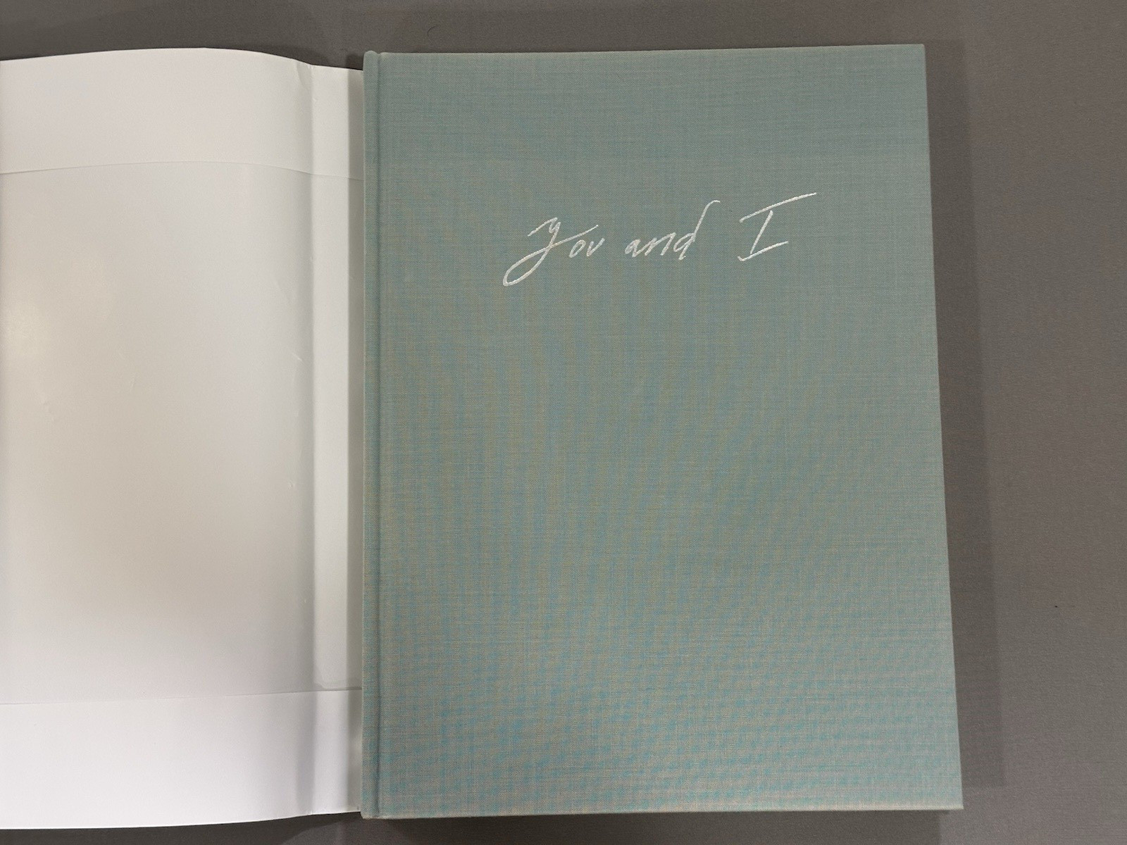 You & I Ryan Mc Ginley Hard Cover Dust Jacket