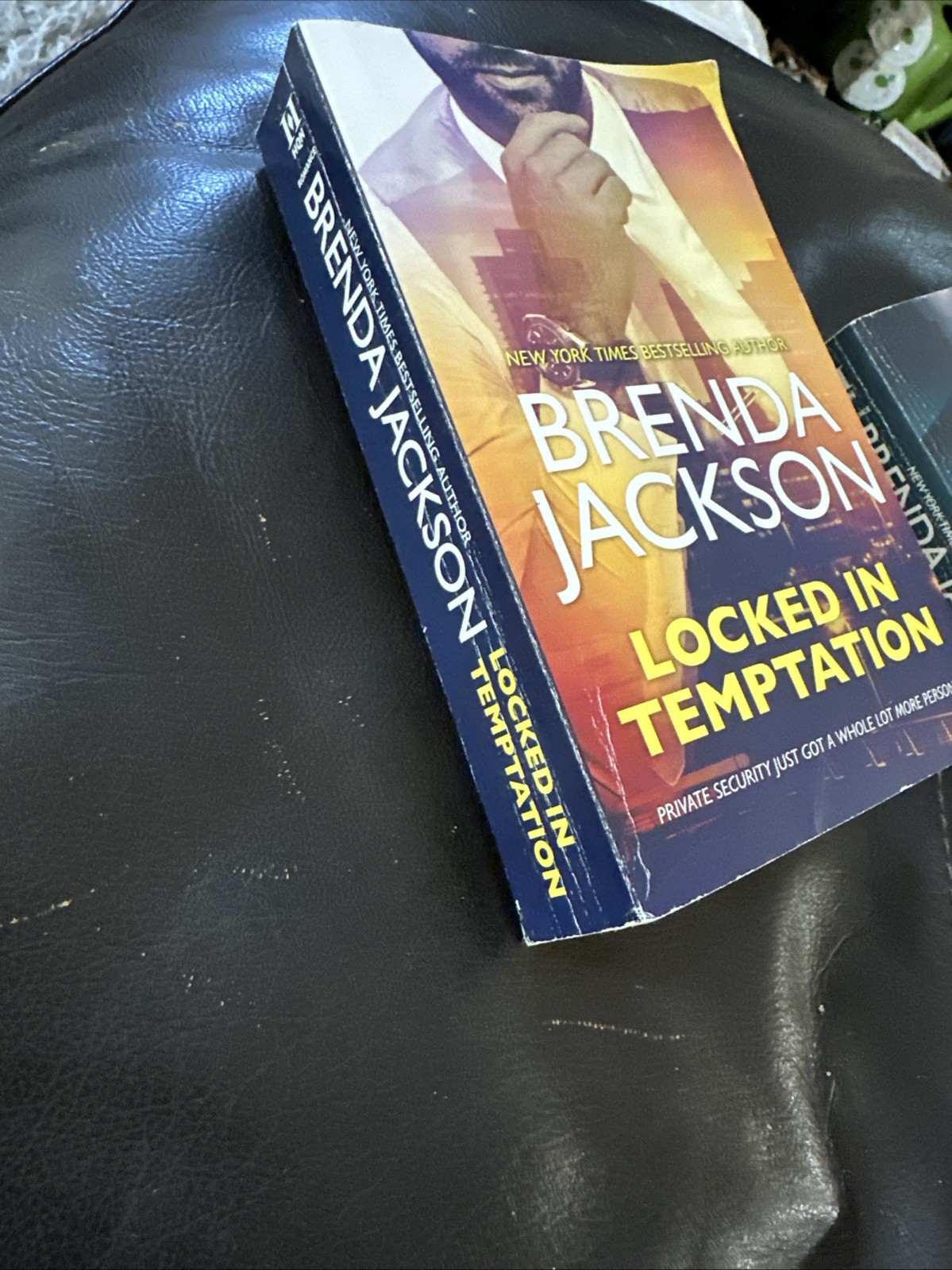 The Protectors Series All 3 Books in Mass Market Paperback