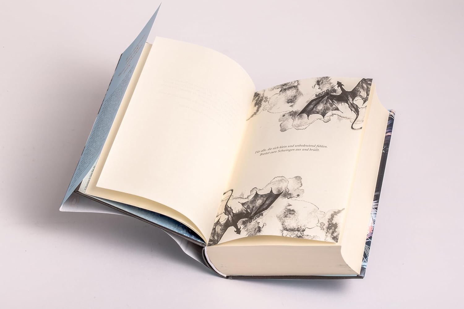Christine Heinz When The Moon Hatched: Die Auserwählten – (Hardback) (UK IMPORT)