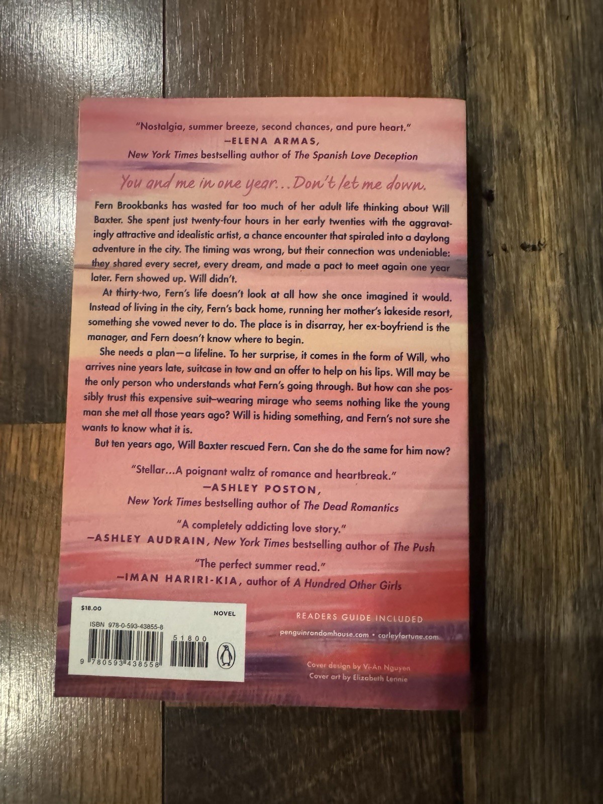Lot Of Five (5) Paperback Books Mystery And RomCom Popular Titles