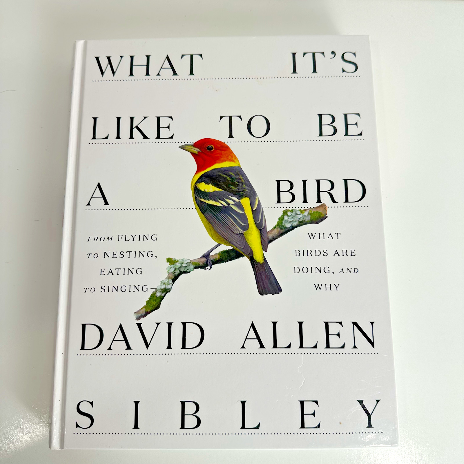 What It’s Like to Be a Bird, David Allen Sibley Full color illustrations