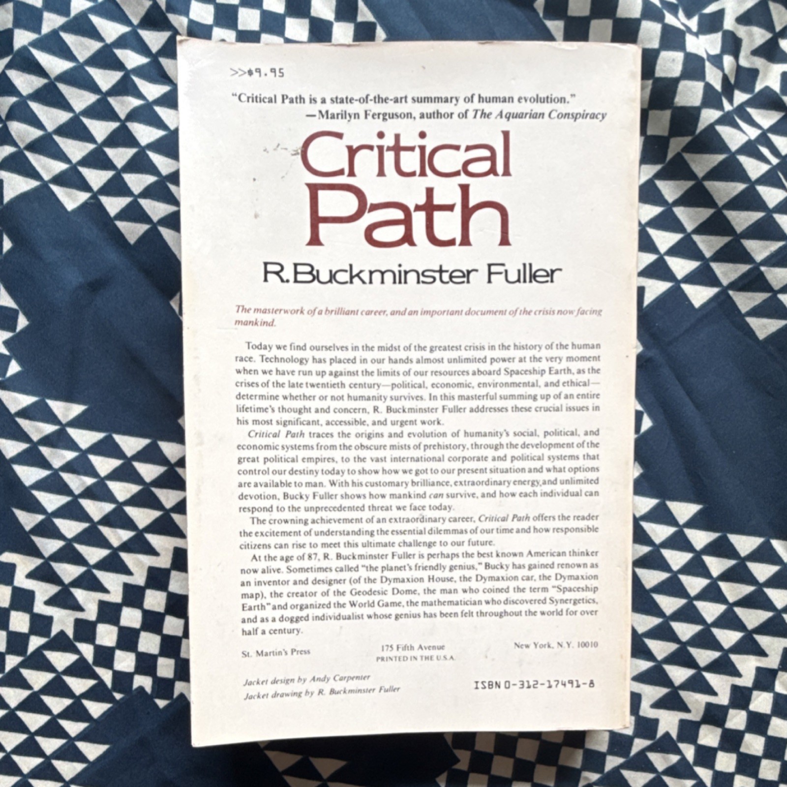 Critical Path by R. Buckminster Fuller Paperback St. Martin’s Press Technology