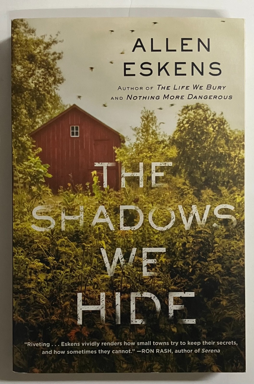 Shadows We Hide:The Highly Acclaimed Sequel to the Life We Bury(NEW, SHIPS FREE)