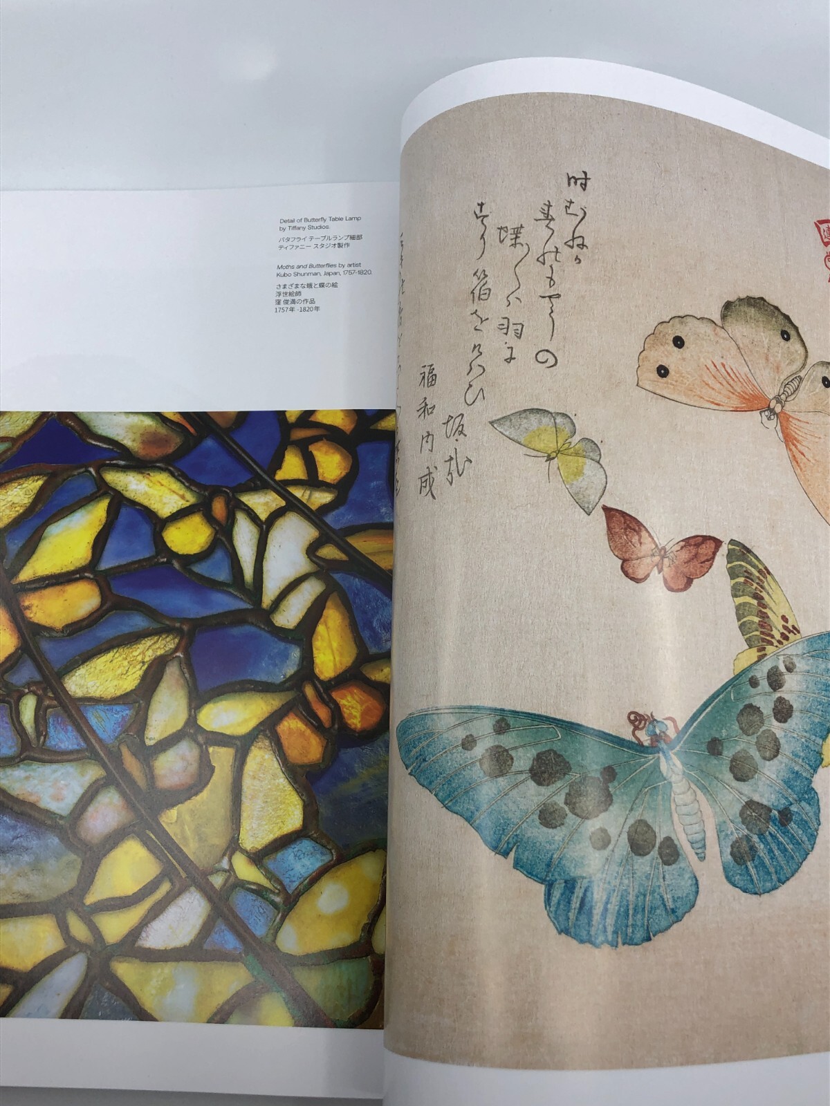 Tiffany Wonder Book- History of Tiffany & Japan published by Assouline 240 pages