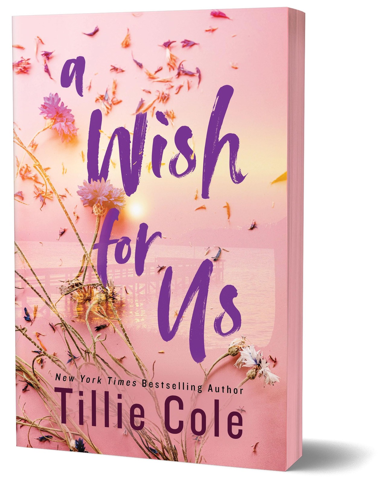 A Wish for Us (Deluxe Edition) – paperback Cole, Tillie