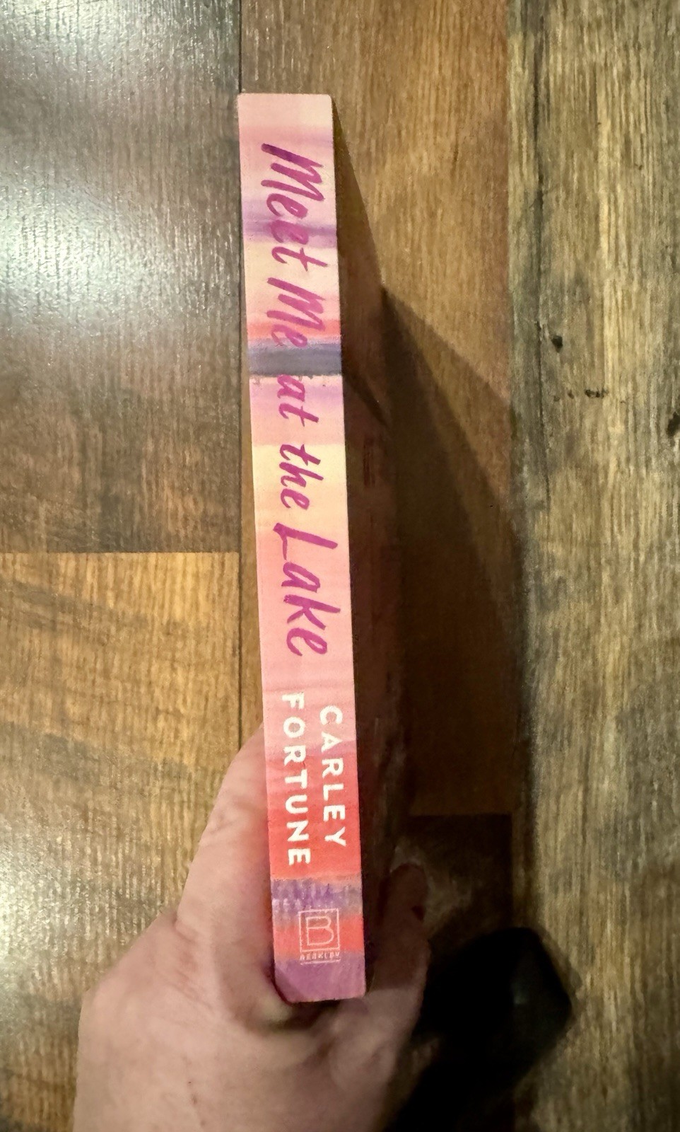 Lot Of Five (5) Paperback Books Mystery And RomCom Popular Titles
