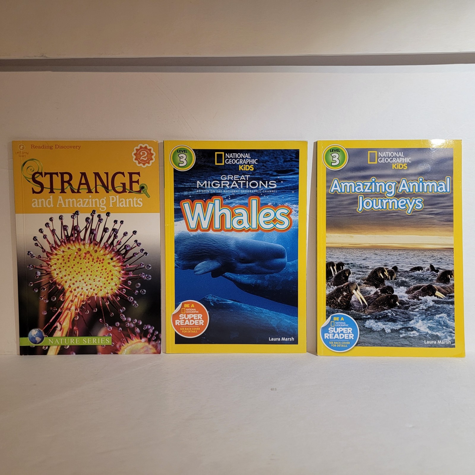 National Geographic Step Into Reading Nonfiction Level 2 & 3 Book Lot Of 8