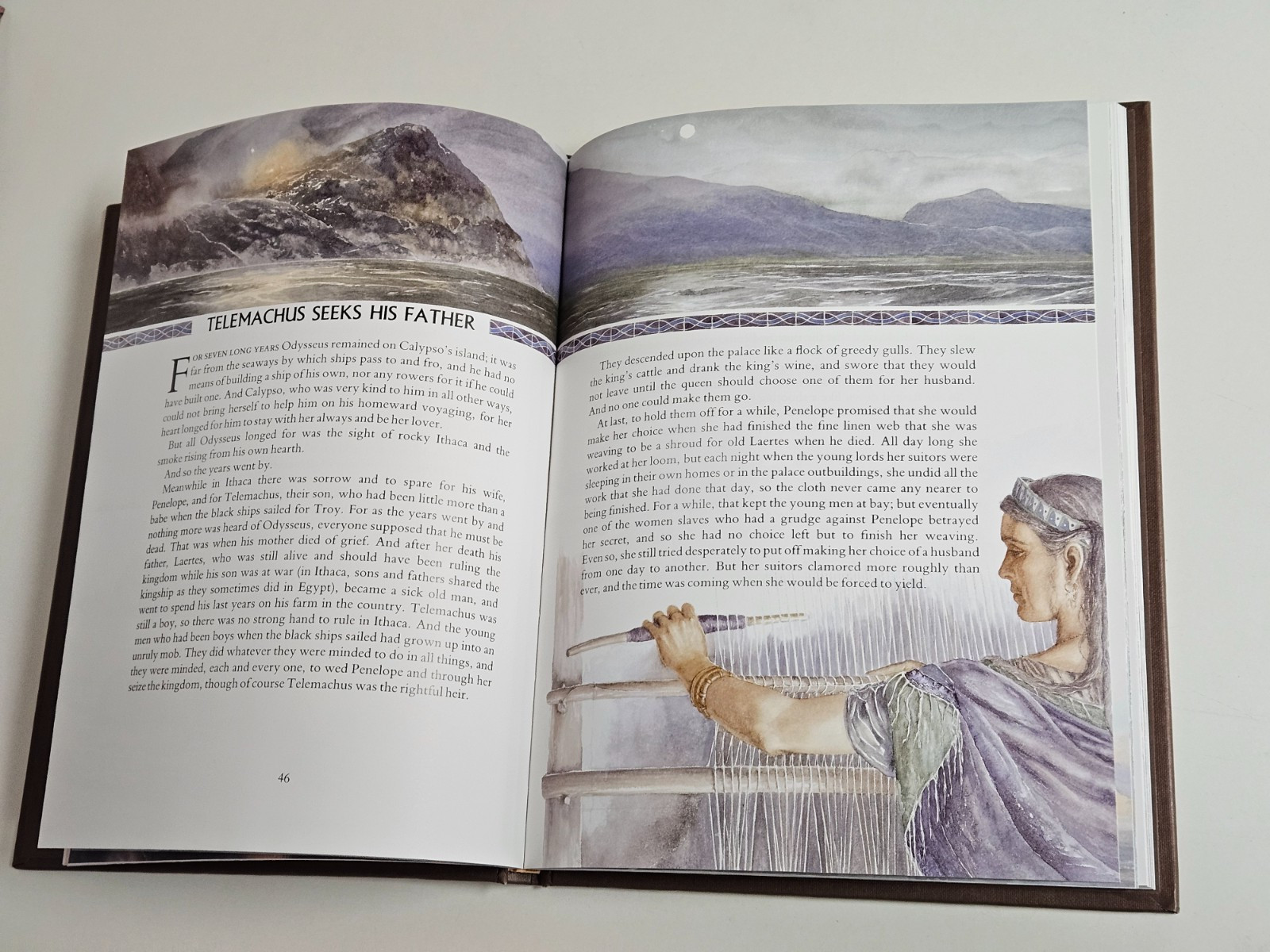 The Wanderings of Odysseus: THE STORY OF THE ODYSSEY Hardcover DUST JACKET 1996