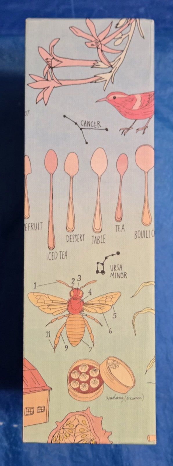 The Julia Rothman Collection: Farm Anatomy, Nature Anatomy, and Food Anatomy VG