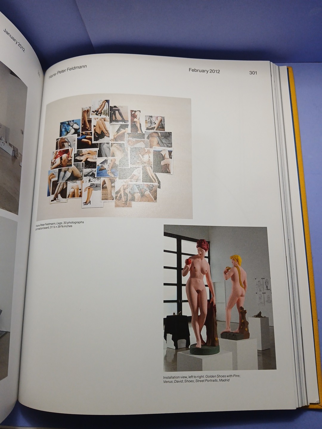 303 Gallery : 35 Years by N.Y. Staff 303 Gallery New York (Hardcover) ART BOOK