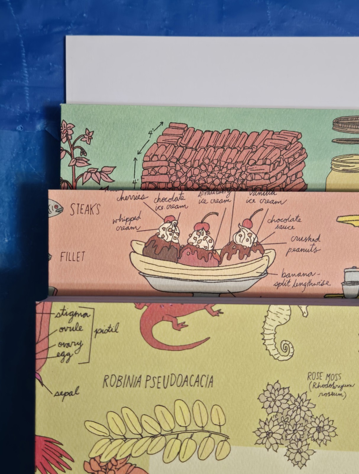 The Julia Rothman Collection: Farm Anatomy, Nature Anatomy, and Food Anatomy VG