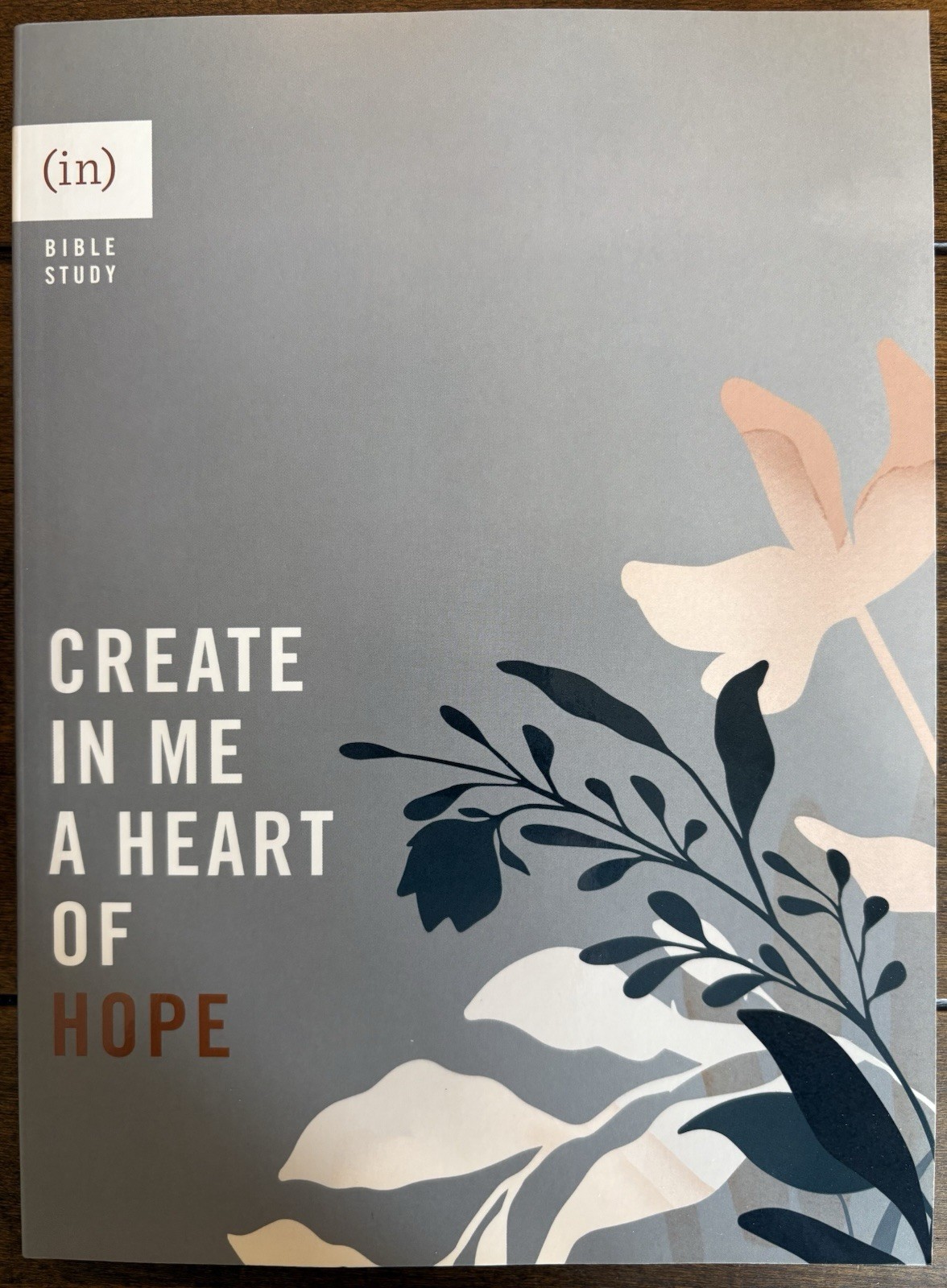 Create in Me a Heart of Hope by (in)courage (2022, Trade Paperback)