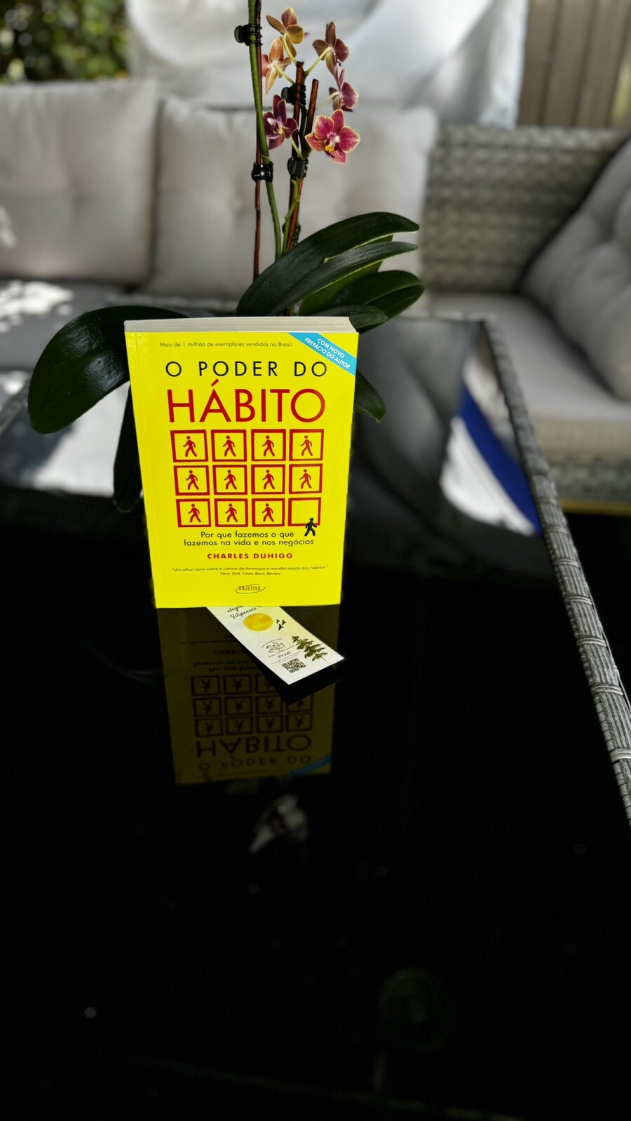 Poder do Habito (Em Portugues do Brasil) – Charles Duhigg