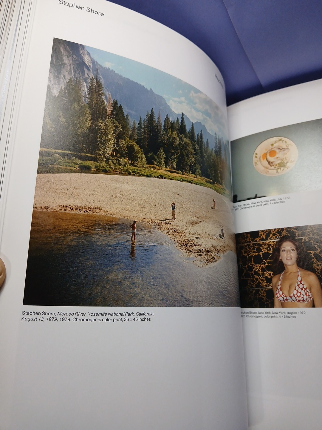 303 Gallery : 35 Years by N.Y. Staff 303 Gallery New York (Hardcover) ART BOOK