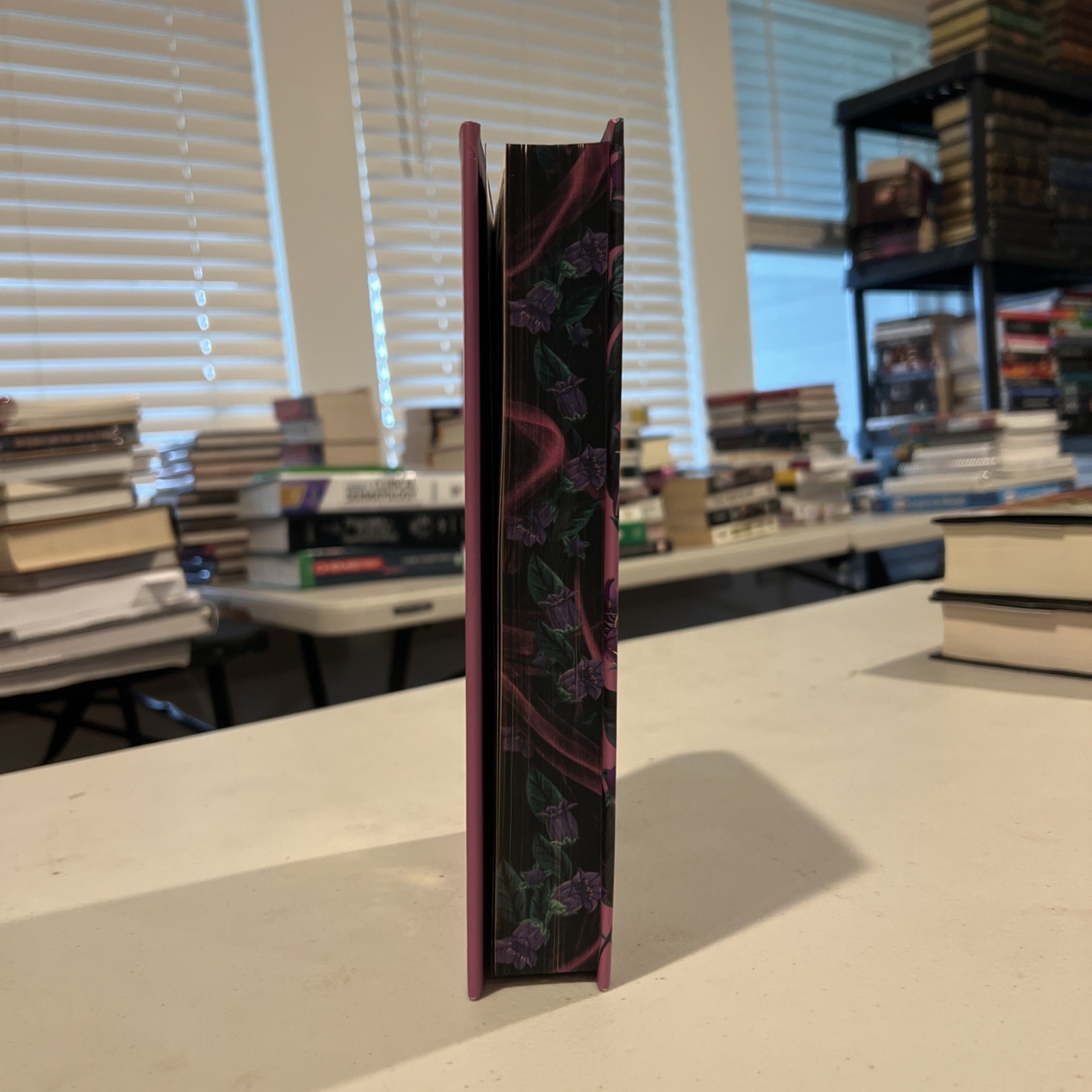 The Darkness Within Us Fairyloot Exclusive Edition Limited Edition Sprayed Edges
