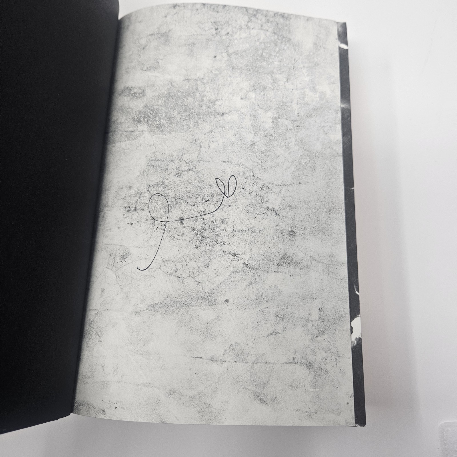 SIGNED! NEW! Brimstone Deluxe Limited Edition By Callie Hart Hardcover