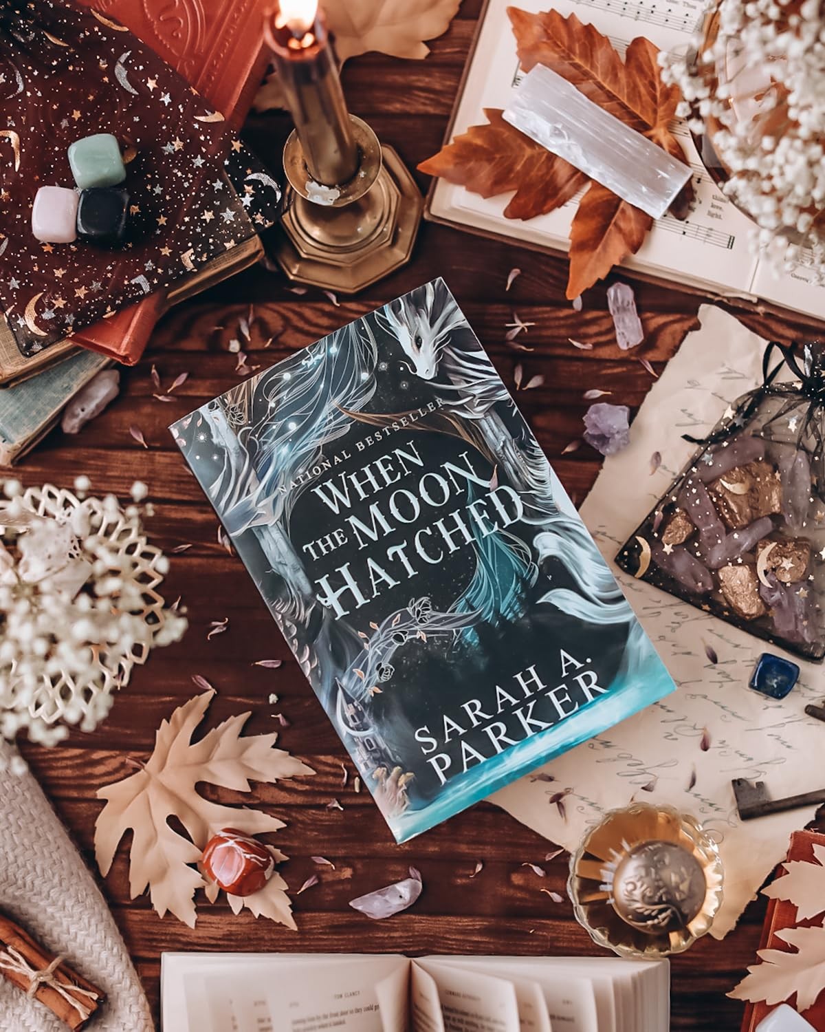 When the Moon Hatched: A Fast-Paced Romantasy with Undeniable Chemistry in a…