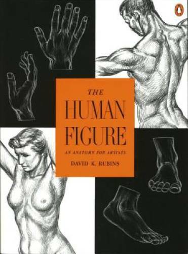 The Human Figure: An Anatomy for Artists – Paperback By Rubins, David K. – GOOD