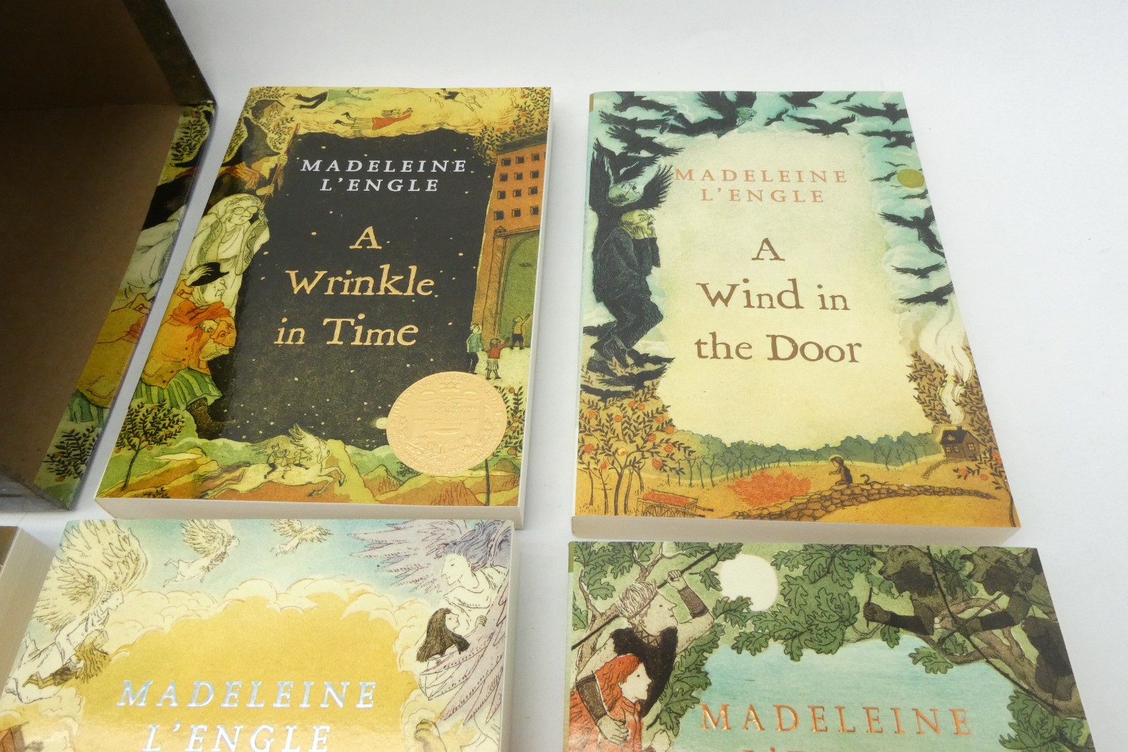 Madeleine L’Engle Time Quintet Box Set 5 Books Wrinkle in Time Square Fish
