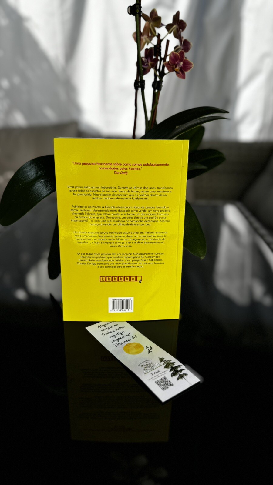 Poder do Habito (Em Portugues do Brasil) – Charles Duhigg