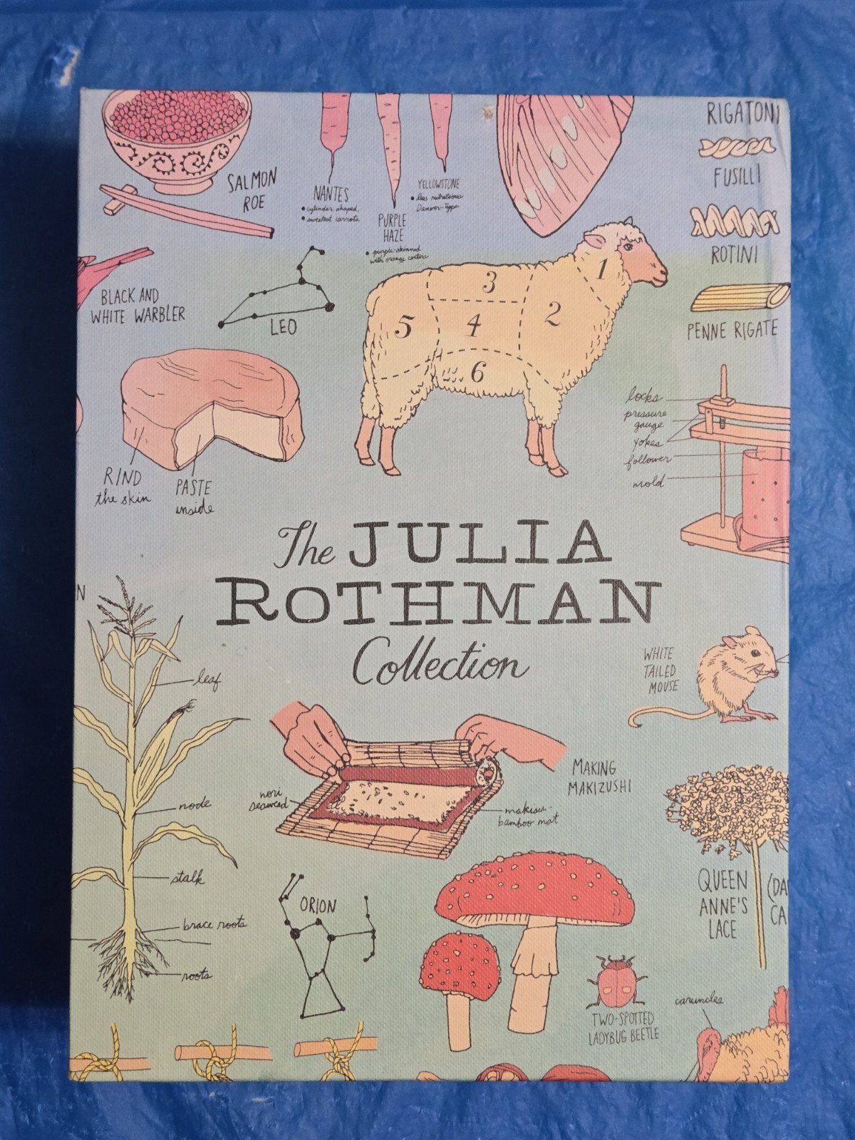 The Julia Rothman Collection: Farm Anatomy, Nature Anatomy, and Food Anatomy VG