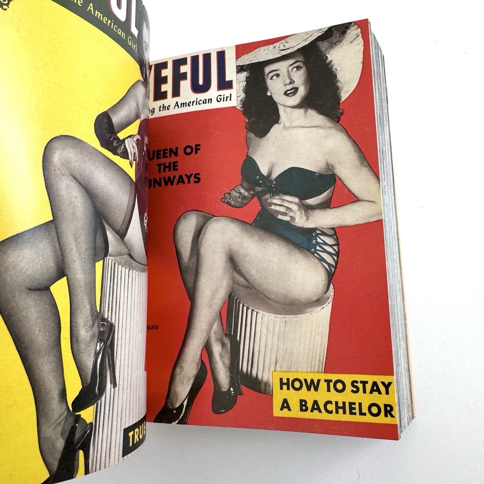 1000 Pin-up Girls: Twenty Fifth Anniversary Edition