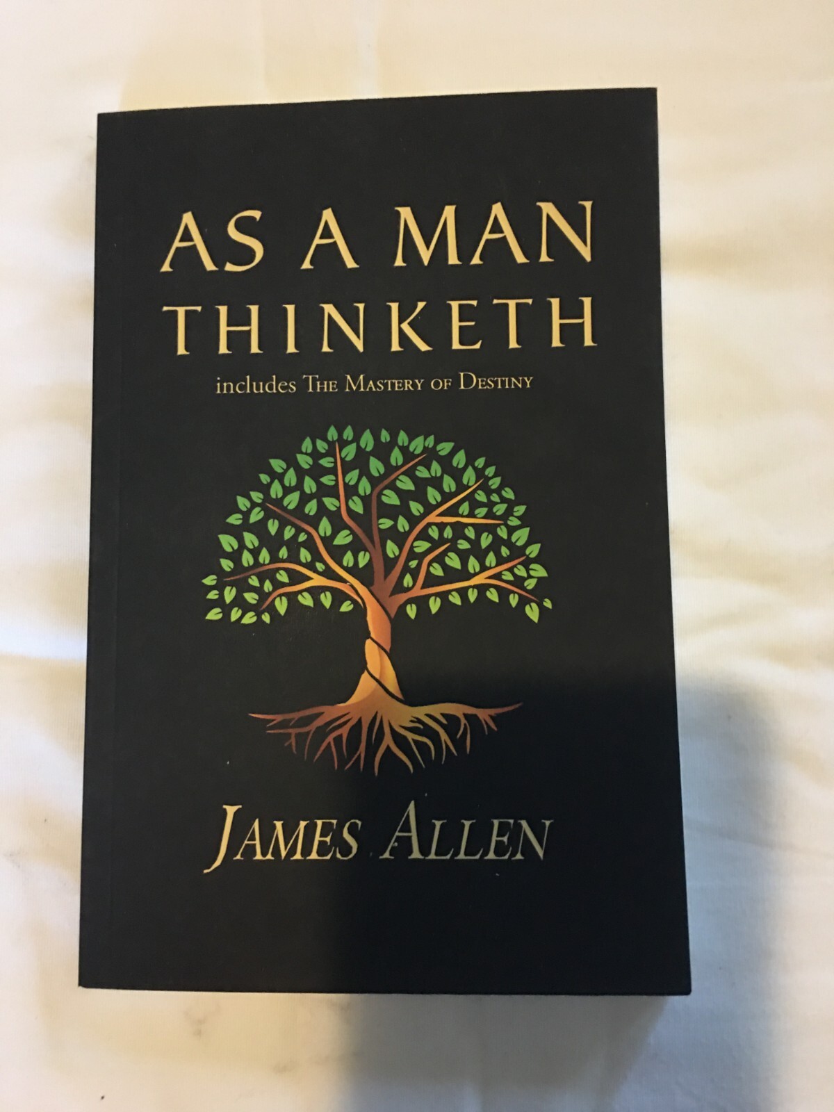 As a Man Thinketh by jJames Allen