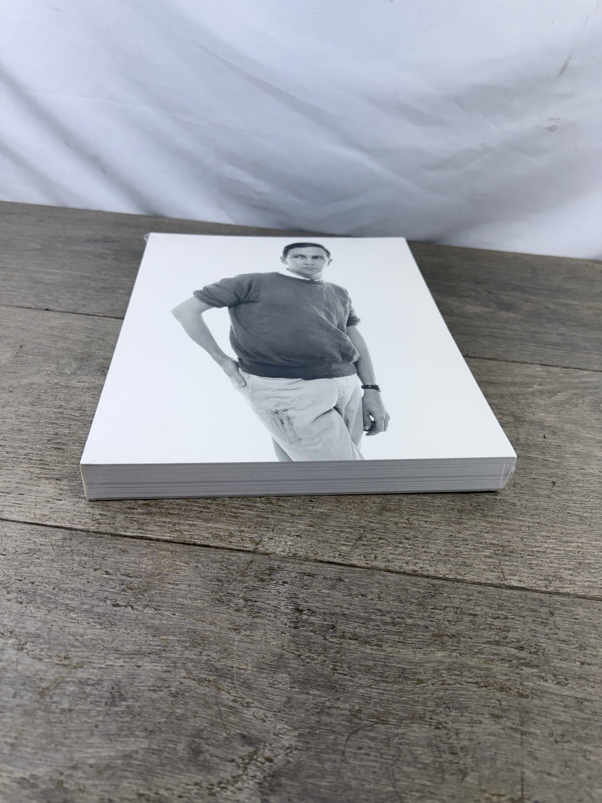 Robert Rauschenberg: Combines 2005 *SEALED PB MONOGRAPH Art Book NEW – Tate/MoCA